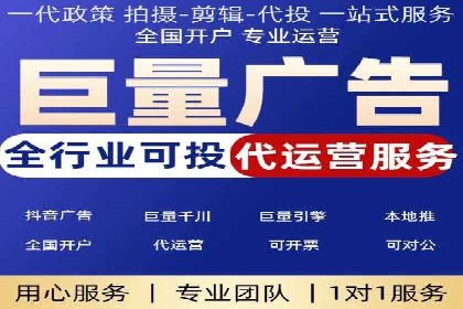 顶级SEM服务公司案例解析